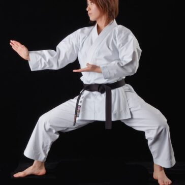 Karategi Tokaido SSA