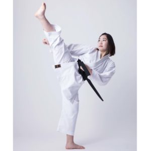 Karategi Tokaido NST "Hayate"