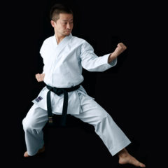 Karategi Tokaido KTW « Izumo »