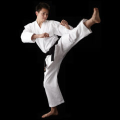 Karategi Tokaido TKD Shoshin (Débutant)