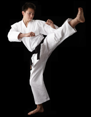 Karategi Tokaido TKD Shoshin (Débutant)