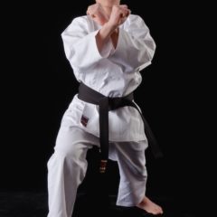 Karategi Tokaido TKD Shoshin (Débutant)