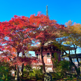 La Splendeur Automnale Cachée de Kyoto