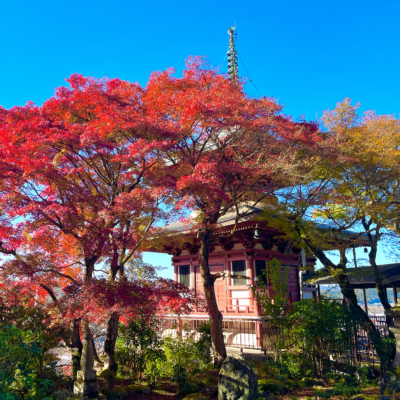 La Splendeur Automnale Cachée de Kyoto